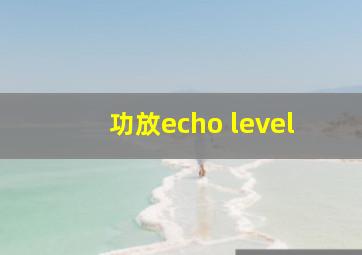 功放echo level